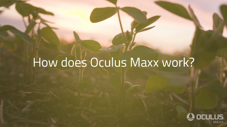 Oculus Maxx