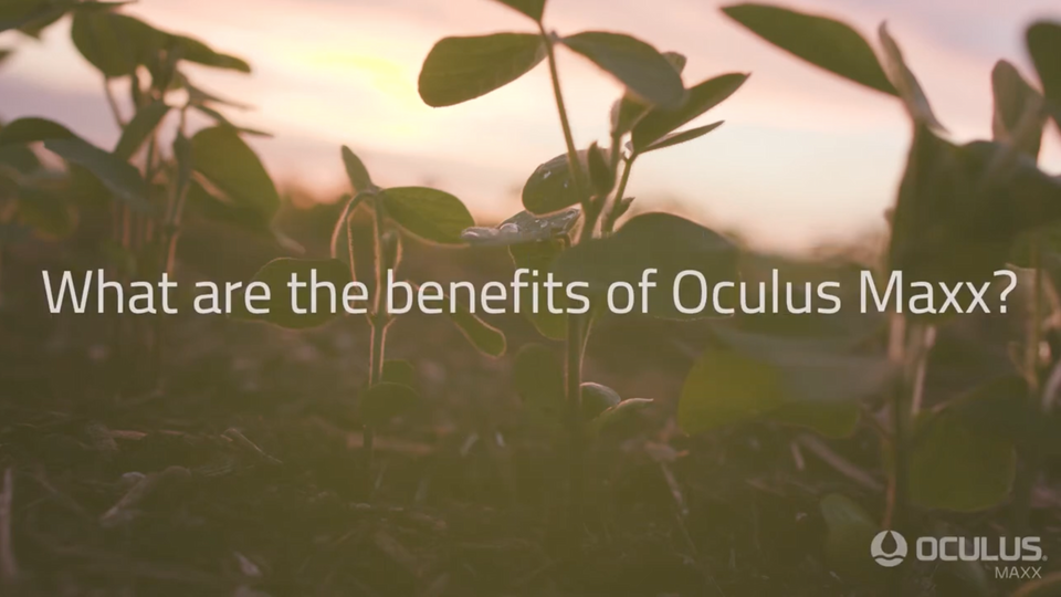 Oculus Maxx
