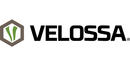 Velossa